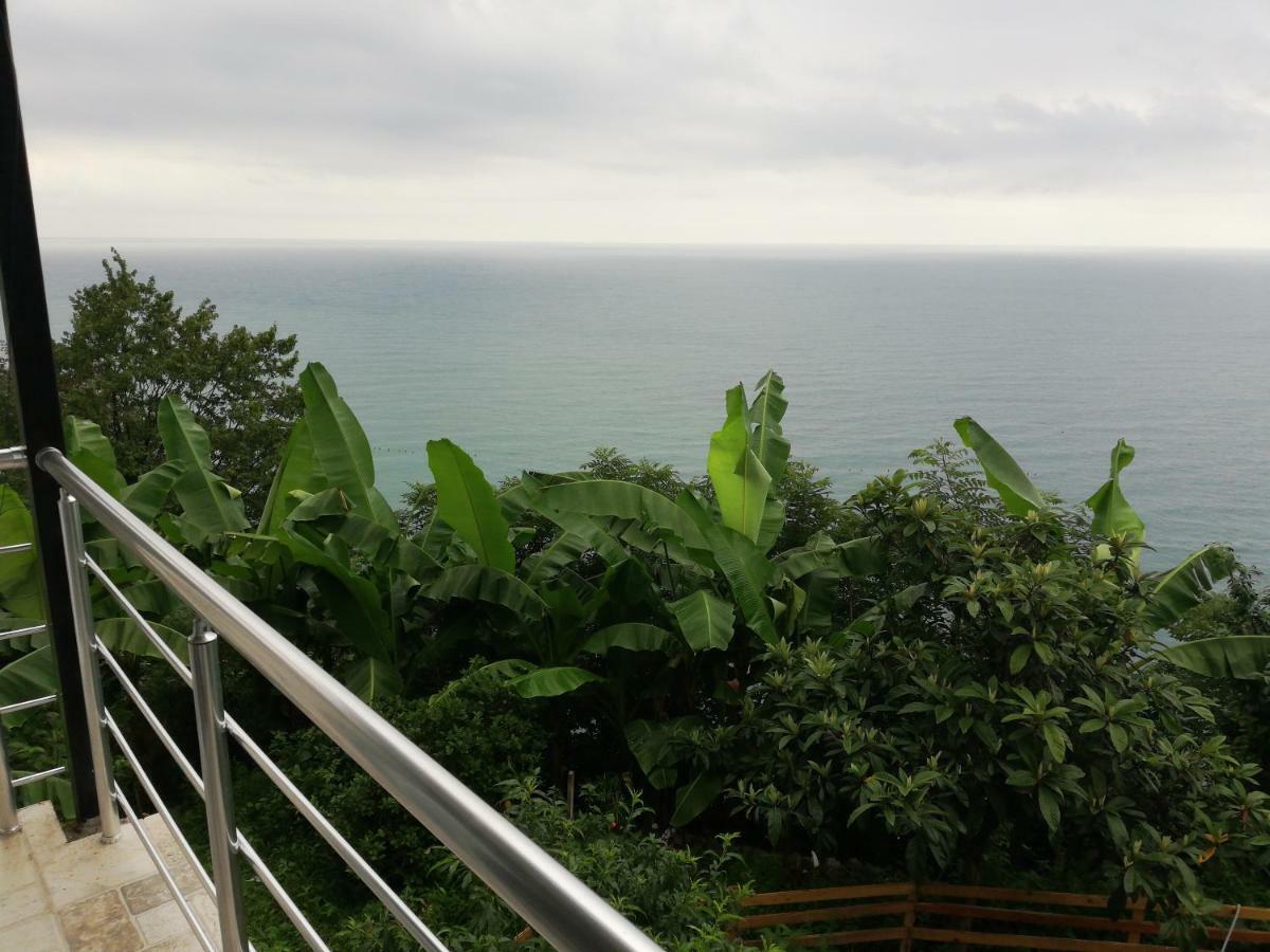 Albatross Kvariati Guest House ภายนอก รูปภาพ